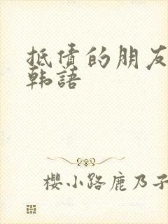抵债的朋友麦子韩语