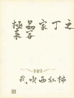 极品家丁之远方来客