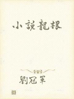 小说龙根