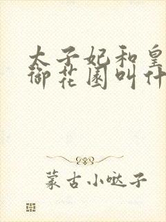 太子妃和皇帝在御花园叫什么小说