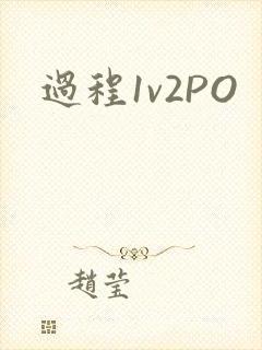 过程1v2PO