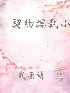 契约总裁小萌宝