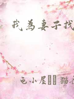 我为妻子找男妓