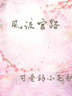 风流官路