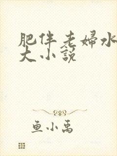 肥伴老妇水多乳大小说