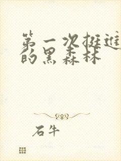 第一次挺进麻麻的黑森林