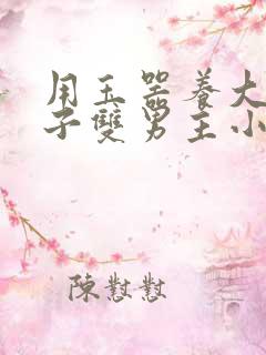 用玉器养大的皇子双男主小说