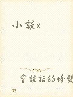 小说x
