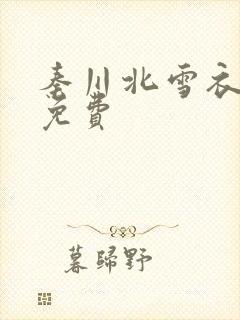 秦川北雪衣小说免费