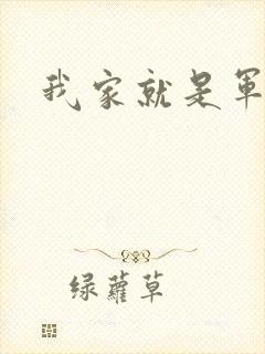 我家就是军火铺