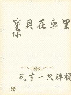 宝贝在车里想要你