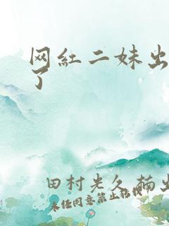 网红二妹出啥事了