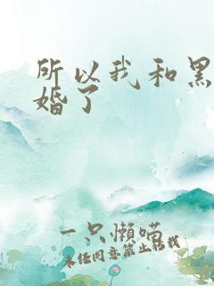 所以我和黑粉结婚了