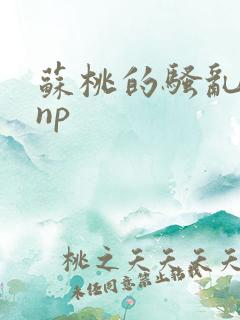 苏桃的骚乱文肉np