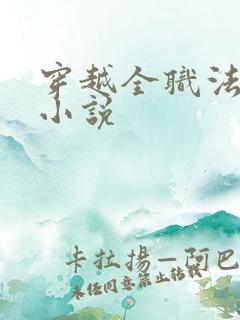 穿越全职法师的小说