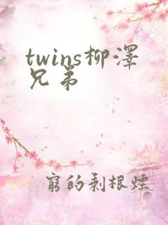 twins柳泽兄弟