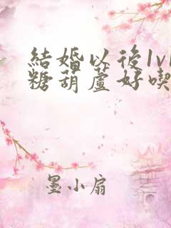 结婚以后1v1糖葫芦好吃epub