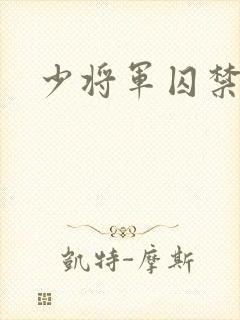少将军囚禁我