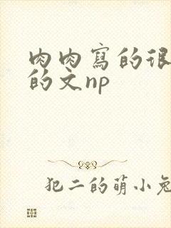 肉肉写的很细致的文np