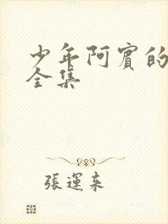 少年阿宾的故事全集