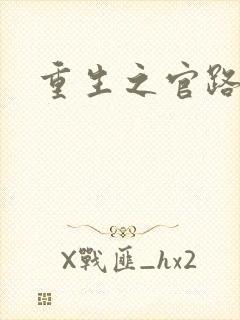 重生之官路情长