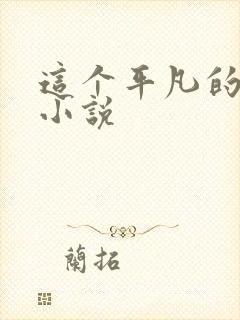 这个平凡的男子小说