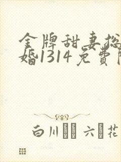 金牌甜妻总裁宠婚1314免费阅读