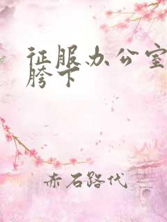 征服办公室杨丽胯下