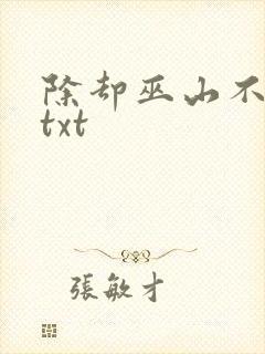 除却巫山不是云txt