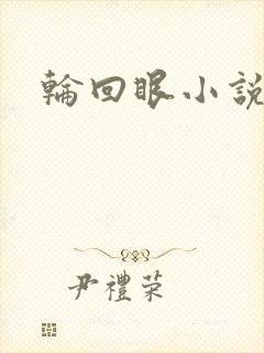 轮回眼小说