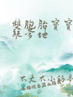 双胞胎宝宝的总统爹地