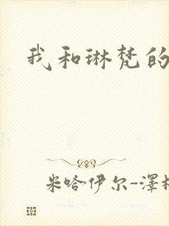 我和琳梵的故事