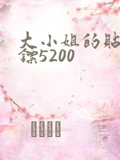 大小姐的贴身保镖5200