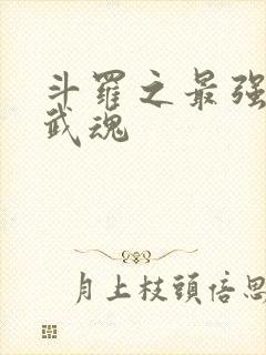 斗罗之最强治疗武魂