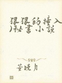 狠狠的撞入(h)秘书小说