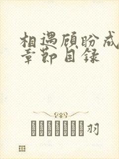 相遇顾盼成欢全章节目录