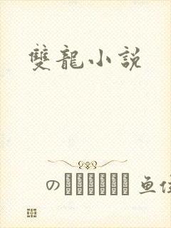 双龙小说