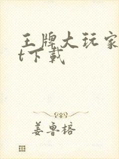 王牌大玩家txt下载