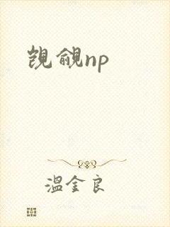 觊觎np