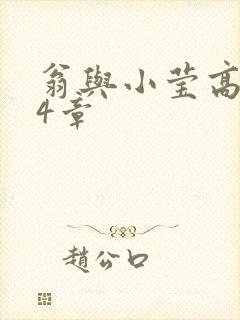 翁与小莹高潮24章