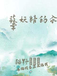 苏妖精的汆肉日常