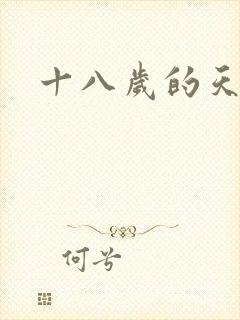 十八岁的天空续
