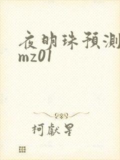 夜明珠预测 ymz01
