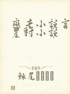 恋老小说言情网农村小说