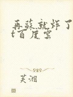 再苏就炸了txt百度云