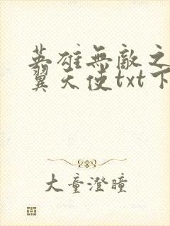 英雄无敌之十二翼天使txt下载