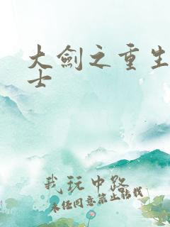 大剑之重生圣骑士