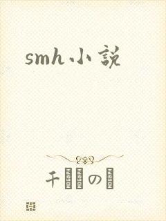 smh小说