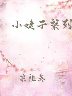 小婕子系列小说