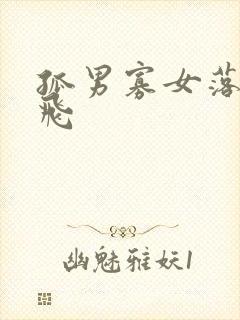 孤男寡女落瑛纷飞